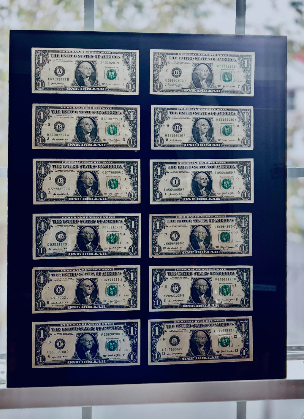 12 Dollars from all the Federal Reserve Banks across the United States of America: A,B,C,D,E,F,G,H,I,J,K,L 16x20 frame